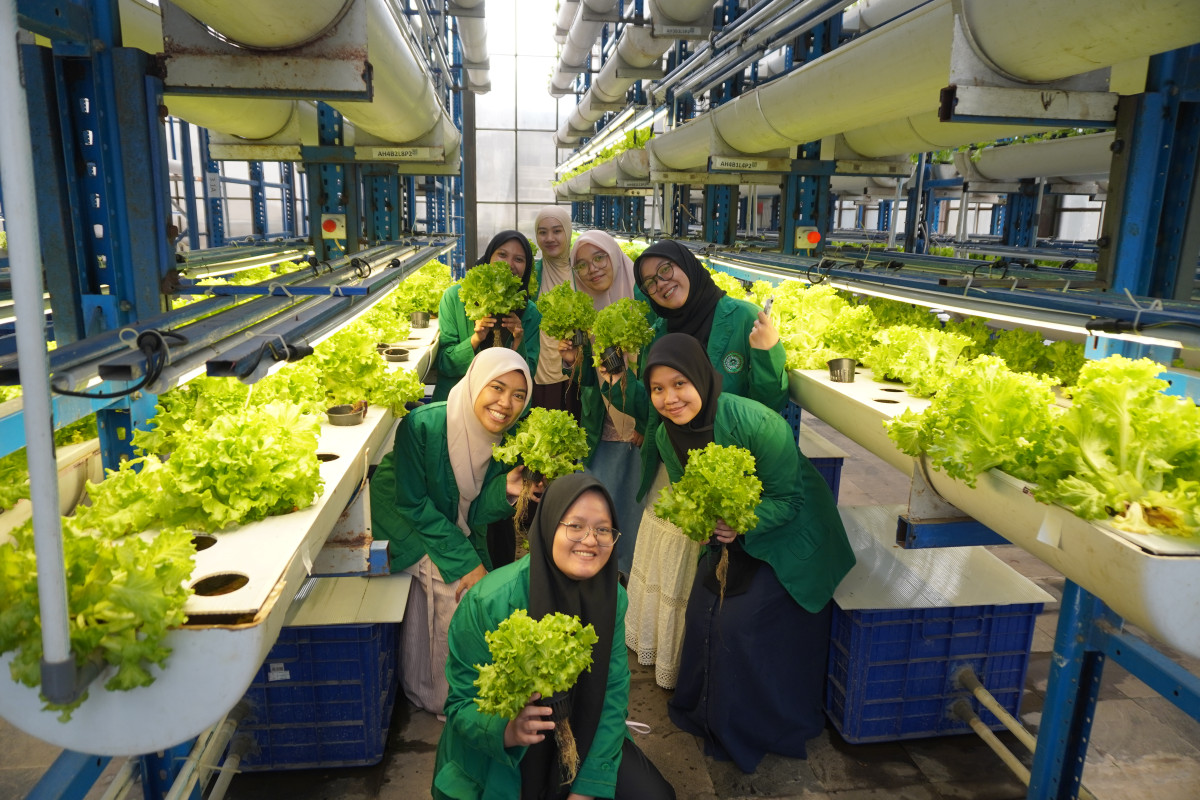 Hemas IIQ Go Green Kunjungi Ladang Farm Technology, Mahasantri Belajar Hidroponik hingga Panen Langsung